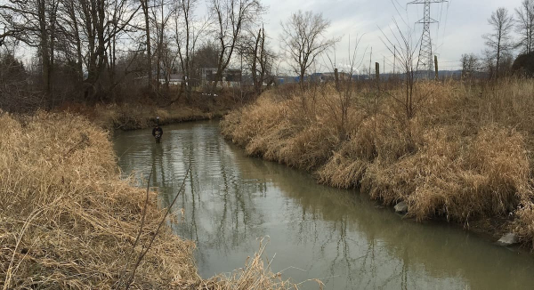 Mill Creek Municipal Drain