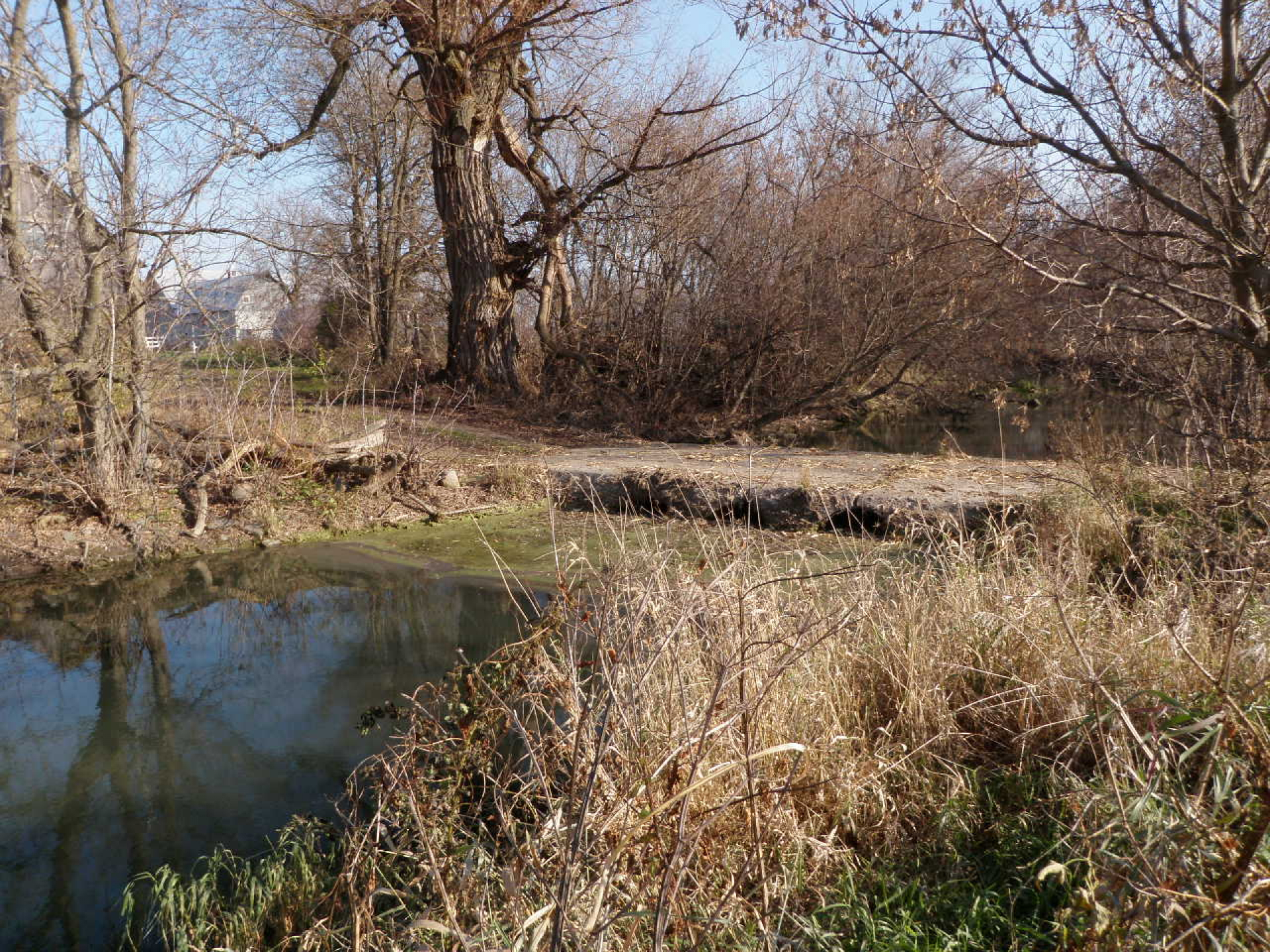 Chenier-Jeaurond Municipal Drain