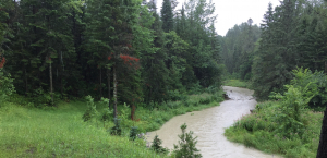 Cardinal Creek Slope Stabilization and Erosion Control