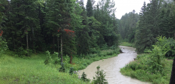 Cardinal Creek Slope Stabilization and Erosion Control